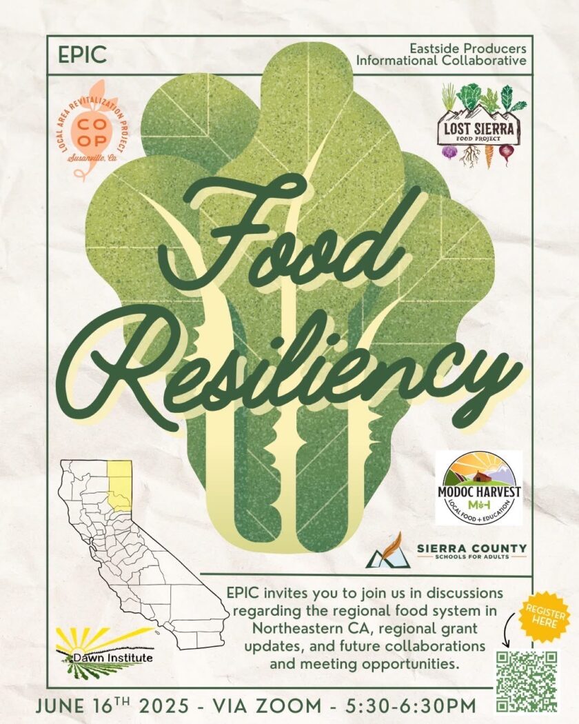 Food Resiliency Flyer 5.27.25